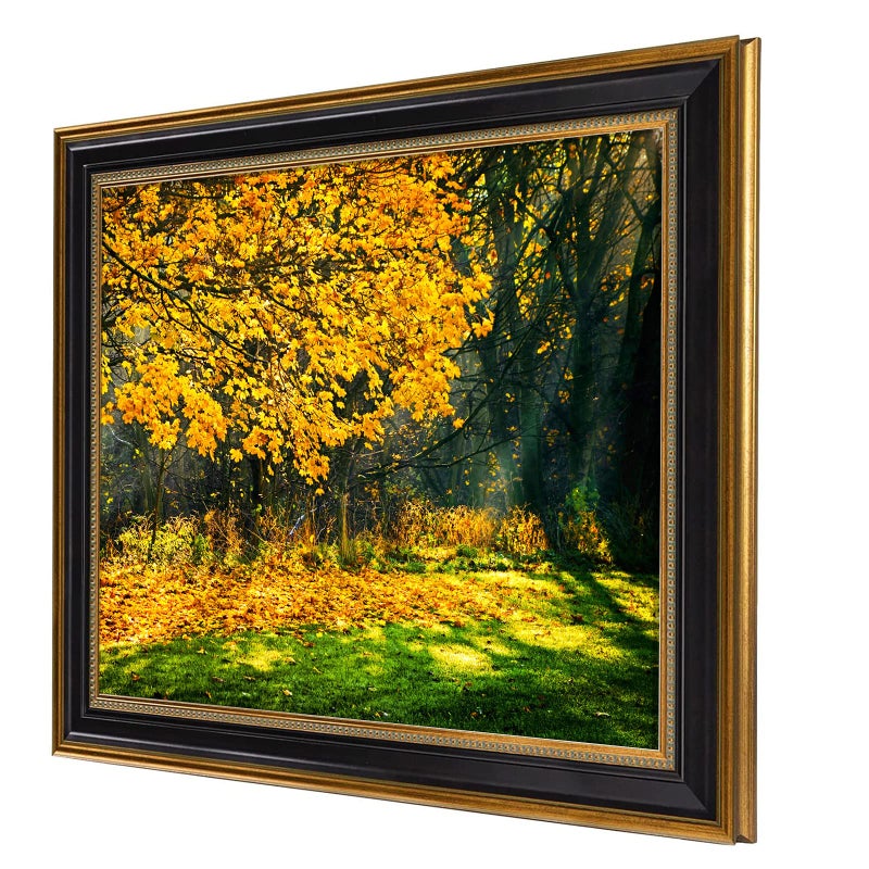 Space Art Deco, 16x20 Picture Frame without Mat for 16x20 Poster/Photo/Print, Shatter-Resistant Real Glass Wall Mounting Display (Black and Ornate Gold Design, 1-Pack) - Image 2
